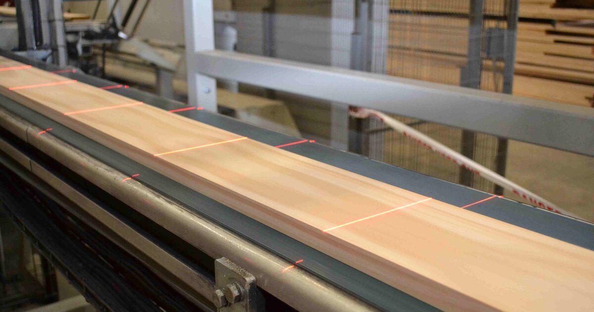 MiCROTEC - Quality detection with multi-sensor solution