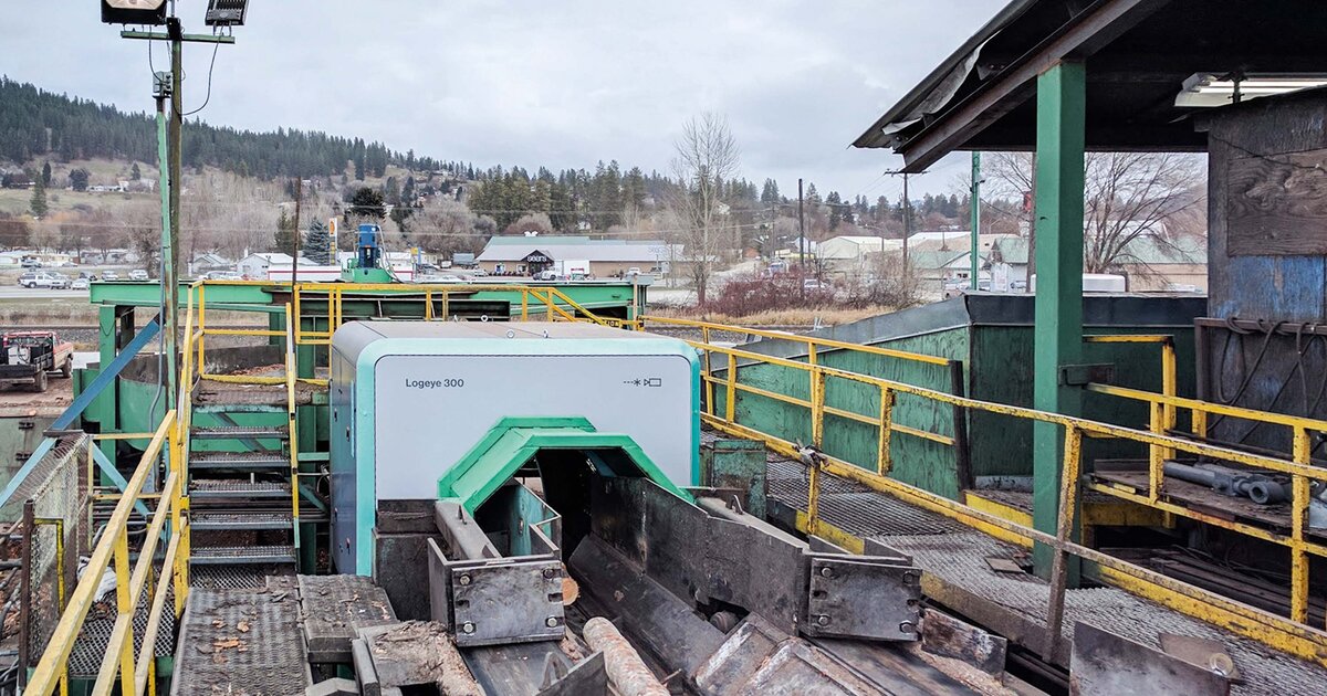 MiCROTEC - Logeye optimizes scanning and sorting at the log yard