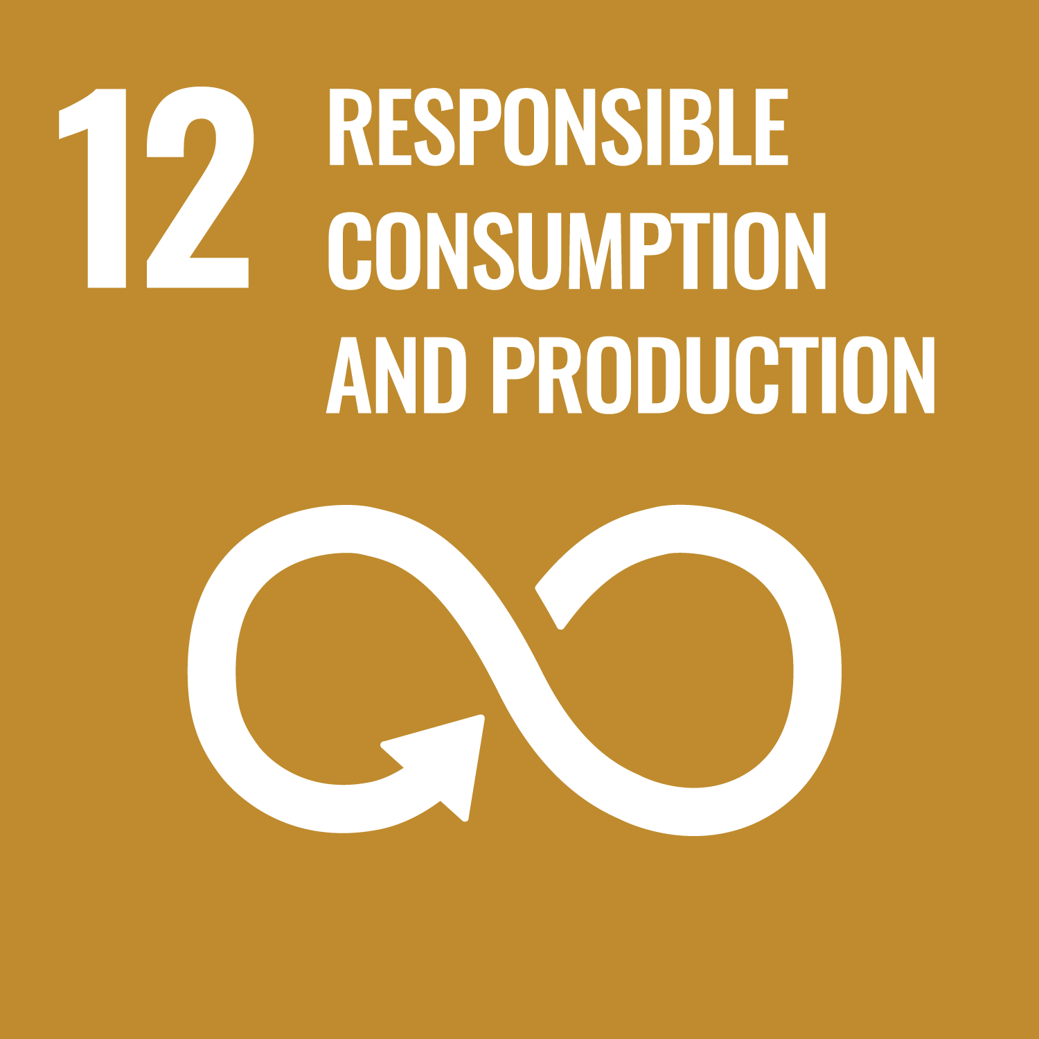 12. Verantwortungsbewusster Konsum und verantwortungsbewusste Produktion